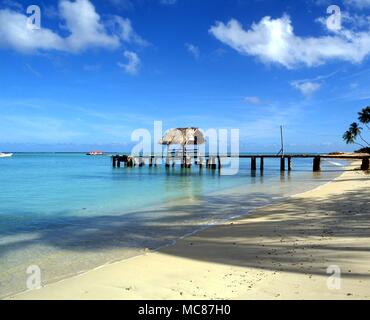 TROPICAL ISLANDS West Indies Pigeon Point Tobago Stockfoto