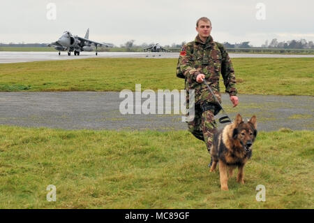 BAe Harrier Jet plane an RAF Cottesmore an ihrem letzten Tag nach vorzeitig von der David Cameron Tory-regierung verschrottet. Fighter Stockfoto