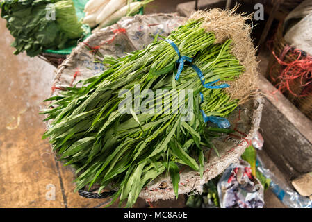 Bündel von Morning glory Grüns für den Verkauf in den Blumenmarkt in Bangkok, Thailand Stockfoto