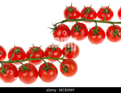 Frische saftige Kirsche Tomaten. Schönheit gewaschene Gemüse voller Vitamine und Antioxidantien. Auf weissem Hintergrund. Stockfoto