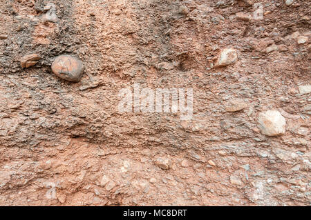 Blick auf Konglomerat, Geologie, Rock, Matadepera, Katalonien Stockfoto