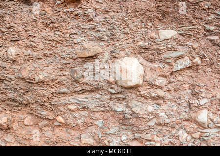 Blick auf Konglomerat, Geologie, Rock, Matadepera, Katalonien Stockfoto