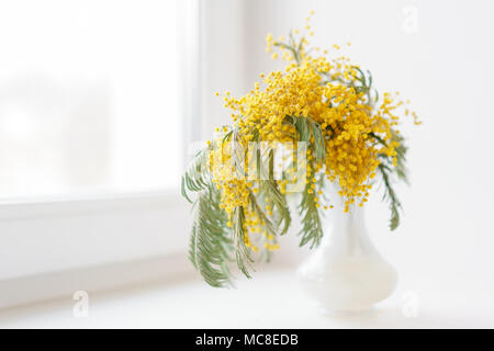 Schöne Zweige von Mimosa in Glasvase auf der Fensterbank. Gelbe sonnigen Blüten am weißen Tisch in der Nähe der Fenster Stockfoto