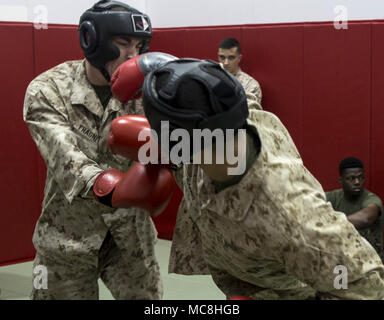 1. Lt. Christopher Ramos und Cpl. Anthony Fragnito kick Box während ein schwarzer Riemen Kurs am 23. März 2018, Camp Foster, Okinawa, Japan. Marine Corps Martial Arts Programm ist eine integrierte, Waffen- system, das das gesamte Spektrum der Kraft Kontinuum auf dem Schlachtfeld integriert und trägt dazu bei, die geistige und körperliche Entwicklung von Marines. Die Marines sind mit 1. Marine Flugzeugflügel. Stockfoto