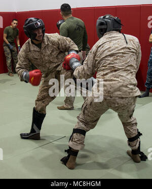 1. Lt. Christopher Ramos und Cpl. Anthony Fragnito kick Box während ein schwarzer Riemen Kurs am 23. März 2018, Camp Foster, Okinawa, Japan. Marine Corps Martial Arts Programm ist eine integrierte, Waffen- system, das das gesamte Spektrum der Kraft Kontinuum auf dem Schlachtfeld integriert und trägt dazu bei, die geistige und körperliche Entwicklung von Marines. Die Marines sind mit 1. Marine Flugzeugflügel. Stockfoto