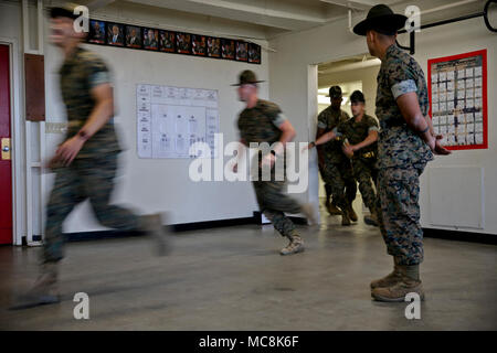 Bohrer Ausbilder mit Delta Firma, 1 Recruit Training Bataillon, geben Sie einen squad Bay Marine Corps Recruit Depot San Diego, März 29. Vor der Veranstaltung, Bohrmaschine, Ausbilder verbringen Zeit mit der Vorbereitung ihre Rekruten die Kontrolle zu übergeben und Ihnen zu sagen, was Sie erwartet. Jährlich mehr als 17.000 Männer aus den westlichen Recruiting Region rekrutiert werden an MCRD San Diego ausgebildet. Delta Unternehmen ist der Abschluss 1. Juni geplant. Stockfoto