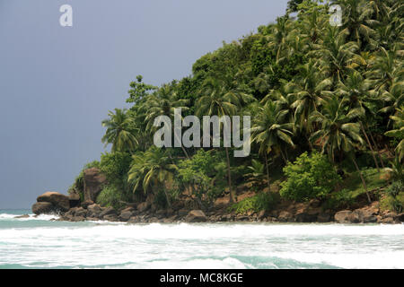 Strand in Mirissa, Sri Lanka: Türkis Wasser, feiner Sand, Wellen zum Surfen, mit schönen Felsen und gesäumt von Kokospalmen. Paradies! Stockfoto