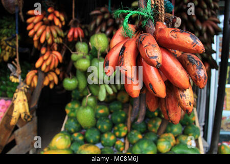 Rote Bananen zu einem Obststand in Kandy, Sri Lanka Stockfoto