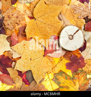 Blick von oben auf die verschiedenen gefallenen Blätter im Herbst und gesägten Holz Stockfoto