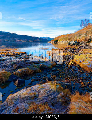 Eine sonnige, Herbst Blick auf Loch Sunart in den schottischen Highlands, als die ersten Anzeichen des Winters erscheinen. Stockfoto