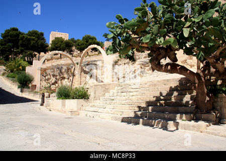 Alten Bögen und eine baumartige Cactus innerhalb der Räumlichkeiten der Burg Santa Bárbara in Alicante, Spanien. Stockfoto