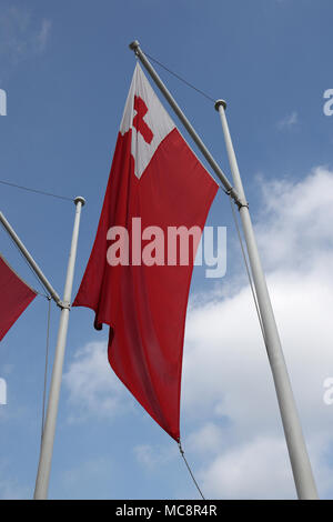 Flagge Tonga fliegt mit anderen Flaggen von Ländern des Commonwealth in Parliament Square, Central London, vor der Tagung der Regierungschefs des Commonwealth (chogm) am Montag. Stockfoto