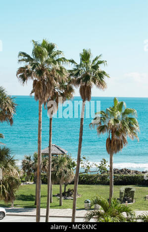 Die tropischen Blick auf den Atlantischen Ozean mit Palmen im Resort Deerfield Beach Stockfoto