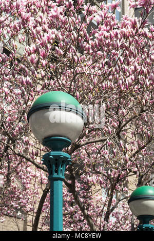 U-Bahnstation Lampe im Frühling, New York City, USA Stockfoto