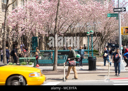 Frühling Street Scene in New York City, USA Stockfoto