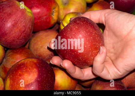 Frau Käufer Äpfel auf dem Zähler, nur ihre Hand sichtbar ist. Stockfoto