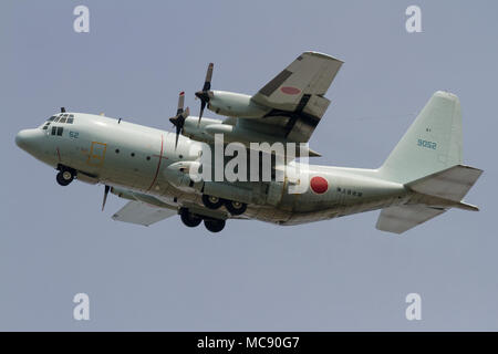 Eine japanische Marine Self Defence Force (JMSDF) Lockheed C-130R Hercules flog in der Nähe der NAF Atsugi Luftwaffenbasis. Kanagawa, Japan. Stockfoto