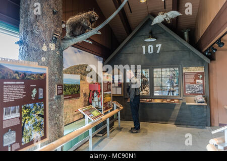 Civilian Conservation Corps Ausstellung am Mount Greylock Besucherzentrum in Lanesboro, Massachusetts. Stockfoto