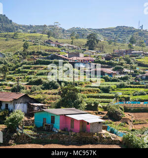 Blick auf den Platz eines kleinen Dorfes in der Teeplantagen in Nuwara Eliya, Sri Lanka. Stockfoto