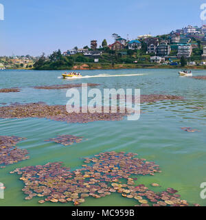 Blick auf den Platz von Gregory in Nuwara Eliya, Sri Lanka. Stockfoto