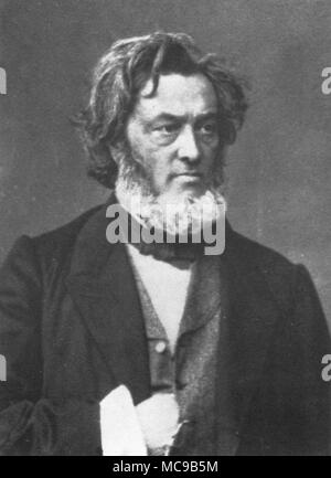 Jules Claude Gabriel Favre (1809-1880), französischer Staatsmann. Stockfoto