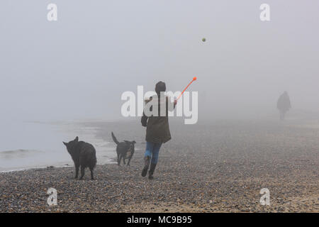 Eine Frau oder Dame zu Fuß zwei Hunde am Strand im Nebel oder Dunst an trüben Frühlingsmorgen. Werfen einer Kugel für ein Haustier doh am Strand bei schlechtem Wetter. Stockfoto