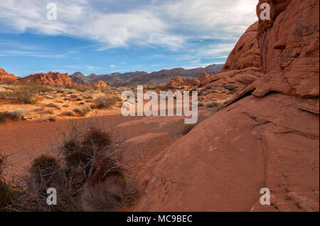 Einzigartige Landschaft und Felsformation im Valley of Fire State Park, Nevada, United States. Stockfoto