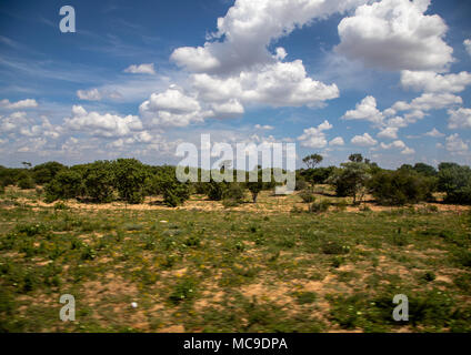 Landschaft der Region Ghanzi in Botswanischen im Sommer Stockfoto