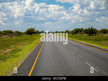 Landschaft der Region Ghanzi in Botswanischen im Sommer Stockfoto