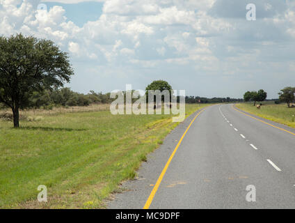 Landschaft der Region Ghanzi in Botswanischen im Sommer Stockfoto