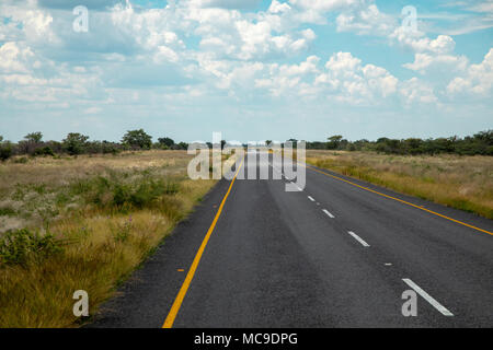 Landschaft der Region Ghanzi in Botswanischen im Sommer Stockfoto