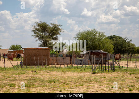 Landschaft der Region Ghanzi in Botswanischen im Sommer Stockfoto