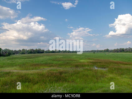 Landschaft der Region Ghanzi in Botswanischen im Sommer Stockfoto