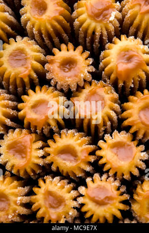 Detail der traditionellen Churros aus Lima, Peru Stockfoto