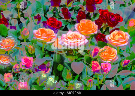 Abstraktes Bild. Schöne Blumen mit Farbfiltern. Frühling Blumen botanischer Natur Hintergrund. Stockfoto