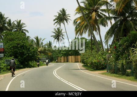 Autobahn von Colombo nach Galle, gesäumt von Kokospalmen entlang der Straße. Bentota, Sri Lanka Stockfoto