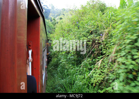 Eine landschaftlich reizvolle Fahrt mit dem Zug von Ella nach Kandy, vorbei an einigen tropischen Vegetation Stockfoto