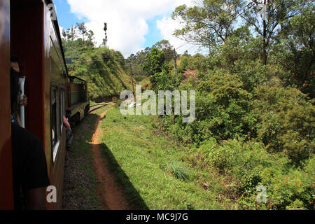 Eine landschaftlich reizvolle Fahrt mit dem Zug von Ella nach Kandy, vorbei an einigen tropischen Vegetation Stockfoto