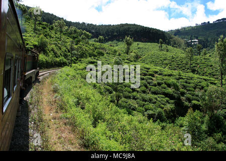 Eine landschaftlich reizvolle Fahrt mit dem Zug von Ella nach Kandy, vorbei an Teeplantagen, tiefe Schluchten und atemberaubende Landschaften Stockfoto
