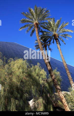 Außenansicht des riesigen schwarzen Glas Pyramide des Luxor Las Vegas Hotel und Casino Komplex mit Palmen im Vordergrund, Las Vegas, NV, USA Stockfoto