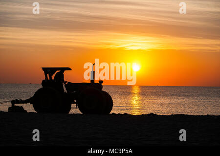 Ein Traktor ist gegen den frühen Morgen Sonnenaufgang Silhouette, wie es der Sandstrand von Algen in der durch die Flut in Hollywood, Florida brachte genehmigt. Stockfoto