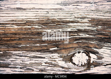 Peeling weiße Farbe auf Holz grunge Hintergrund mit konts. Stockfoto