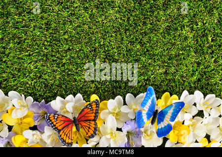 Spring Flower border Hintergrund mit Schmetterlingen, Gras Kopie Raum Stockfoto