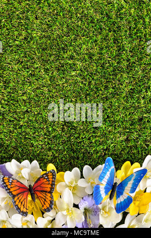 Spring Flower border Hintergrund mit Schmetterlingen, Gras Kopie Raum Stockfoto