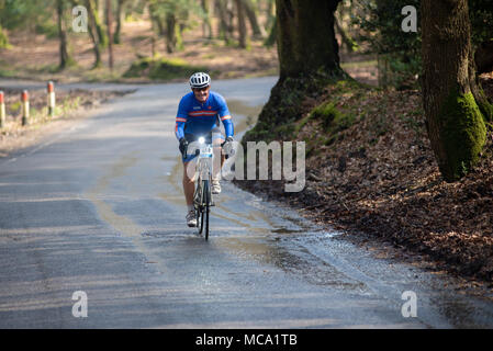 Radfahrer in der Nähe von Nomansland, New Forest, Hampshire, Großbritannien, 14.. April 2018, Teilnahme an der jährlichen Rundstrecke New Forest Spring Wiggle. Stockfoto