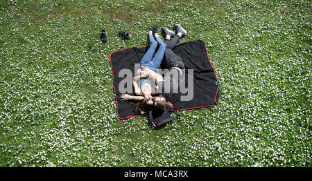 14 April 2018, Deutschland, Frankfurt am Main: ein Paar genießt den Frühling waether auf einer Wiese voller Gänseblümchen am Mainufer. Foto: Arne Dedert/dpa Stockfoto