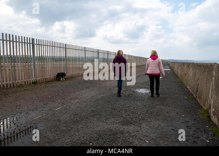 Cockenzie, East Lothian, Großbritannien. 14. April 2018. Hund Spaziergänger am Standort der ehemaligen Cockenzie power station in East Lothian, Schottland. Eine Zeile hat begonnen mit Bedenken über die Schottische staatsanteile Entscheidung zu Òcall inÓ eine Planung Anwendung von Red Rock Power auf erneuerbare Energieträger sub-Station auf dem Aufstellungsort zu errichten. Red Rock Power, Teil von Chinas größten staatlichen Investitionsfonds, der staatlichen Entwicklung und Investment Corporation (SDIC), will die die Sub-Station, um Energie aus dem Zoll Kap Offshore-Windpark Feed, in der Nähe von Angus, in das nationale Stromnetz. Credit: Iain Masterton/Alamy leben Nachrichten Stockfoto