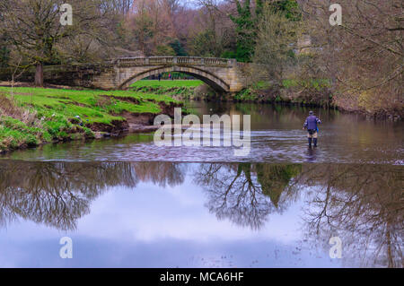 Glasgow, Schottland, Großbritannien. 14. April 2018. UK Wetter: ein Mann mit Casting Rod und Reel und das Tragen von waders Fliegenfischen in den weißen Warenkorb Wasser an einem milden Nachmittag in Pollok Country Park. Credit: Skully/Alamy leben Nachrichten Stockfoto