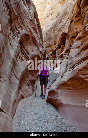 Frau wandern in kleinen Wildhorse Canyon der San Rafael Swell Utah (MR) Stockfoto