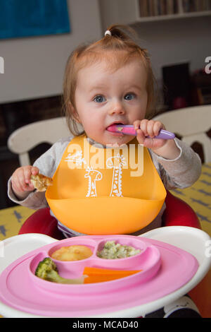 10 Monate altes Baby LED Entwöhnung Stockfoto